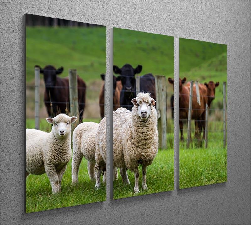 Sheep and cows 3 Split Panel Canvas Print - Canvas Art Rocks - 2