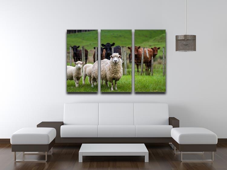 Sheep and cows 3 Split Panel Canvas Print - Canvas Art Rocks - 3