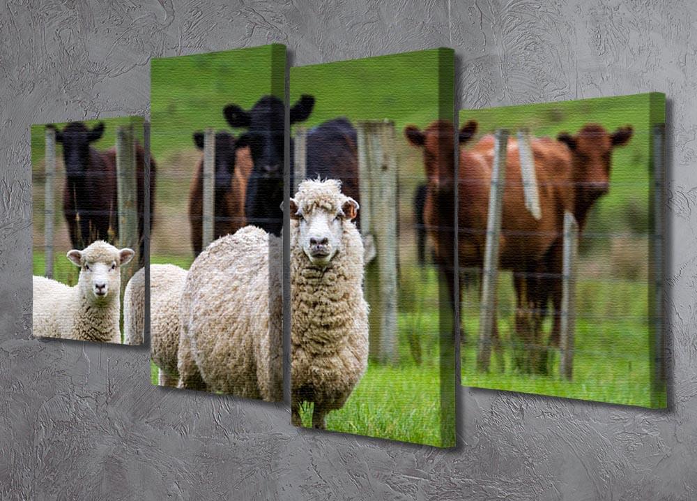 Sheep and cows 4 Split Panel Canvas - Canvas Art Rocks - 2