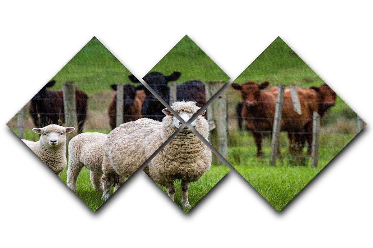 Sheep and cows 4 Square Multi Panel Canvas - Canvas Art Rocks - 1