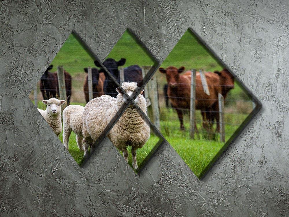 Sheep and cows 4 Square Multi Panel Canvas - Canvas Art Rocks - 2