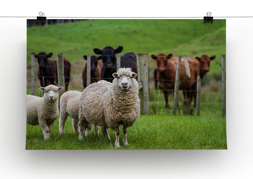 Sheep and cows Canvas Print or Poster - Canvas Art Rocks - 2