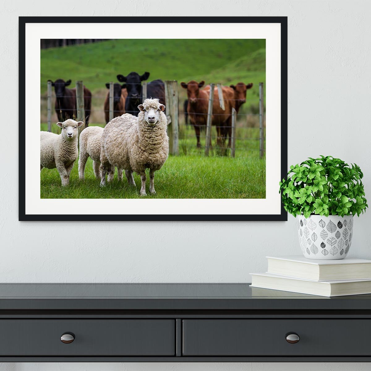 Sheep and cows Framed Print - Canvas Art Rocks - 1