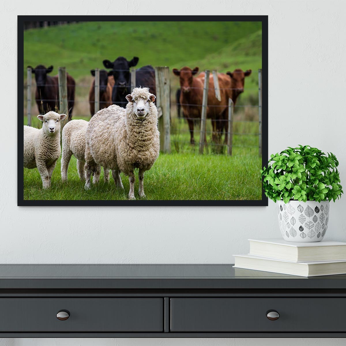 Sheep and cows Framed Print - Canvas Art Rocks - 2