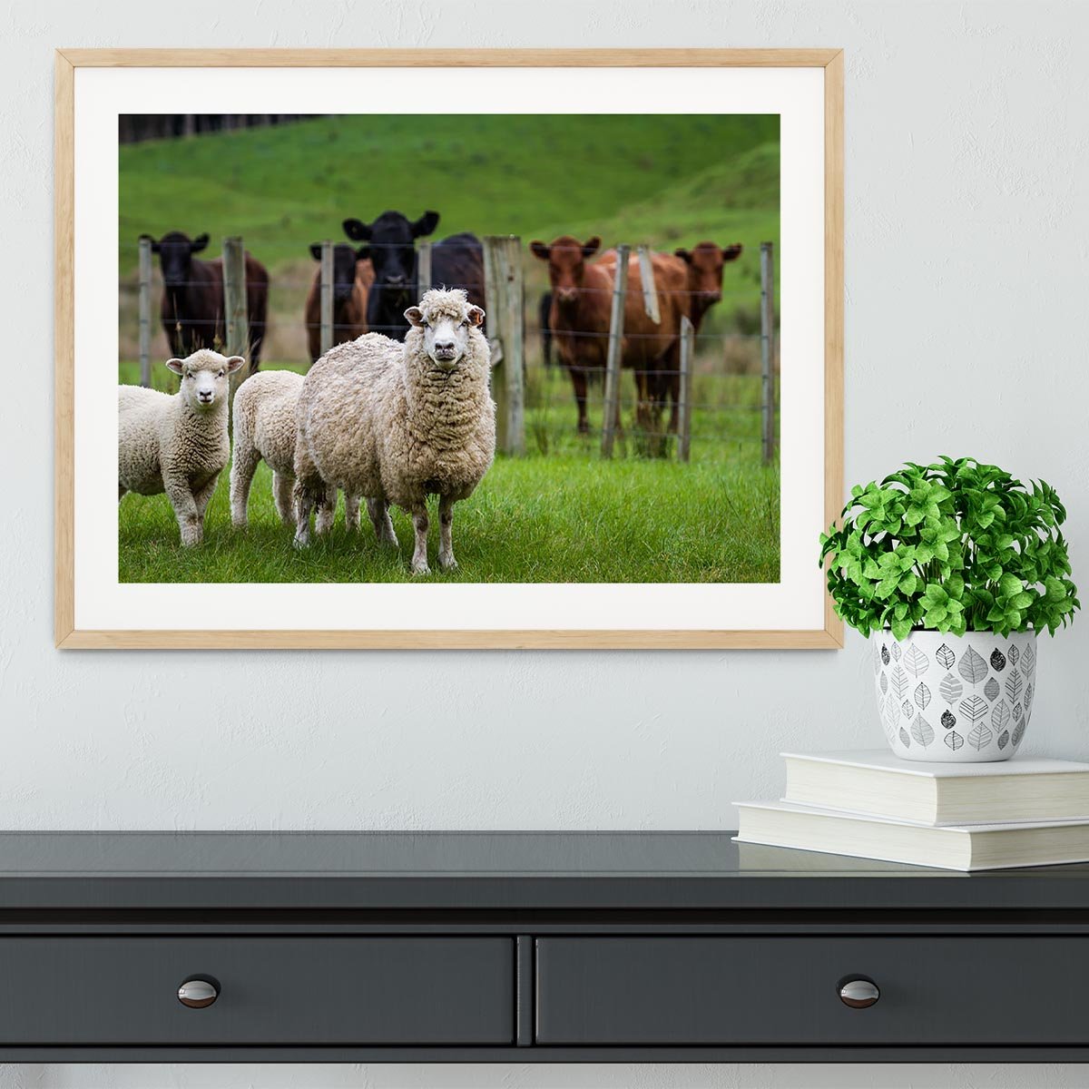 Sheep and cows Framed Print - Canvas Art Rocks - 3