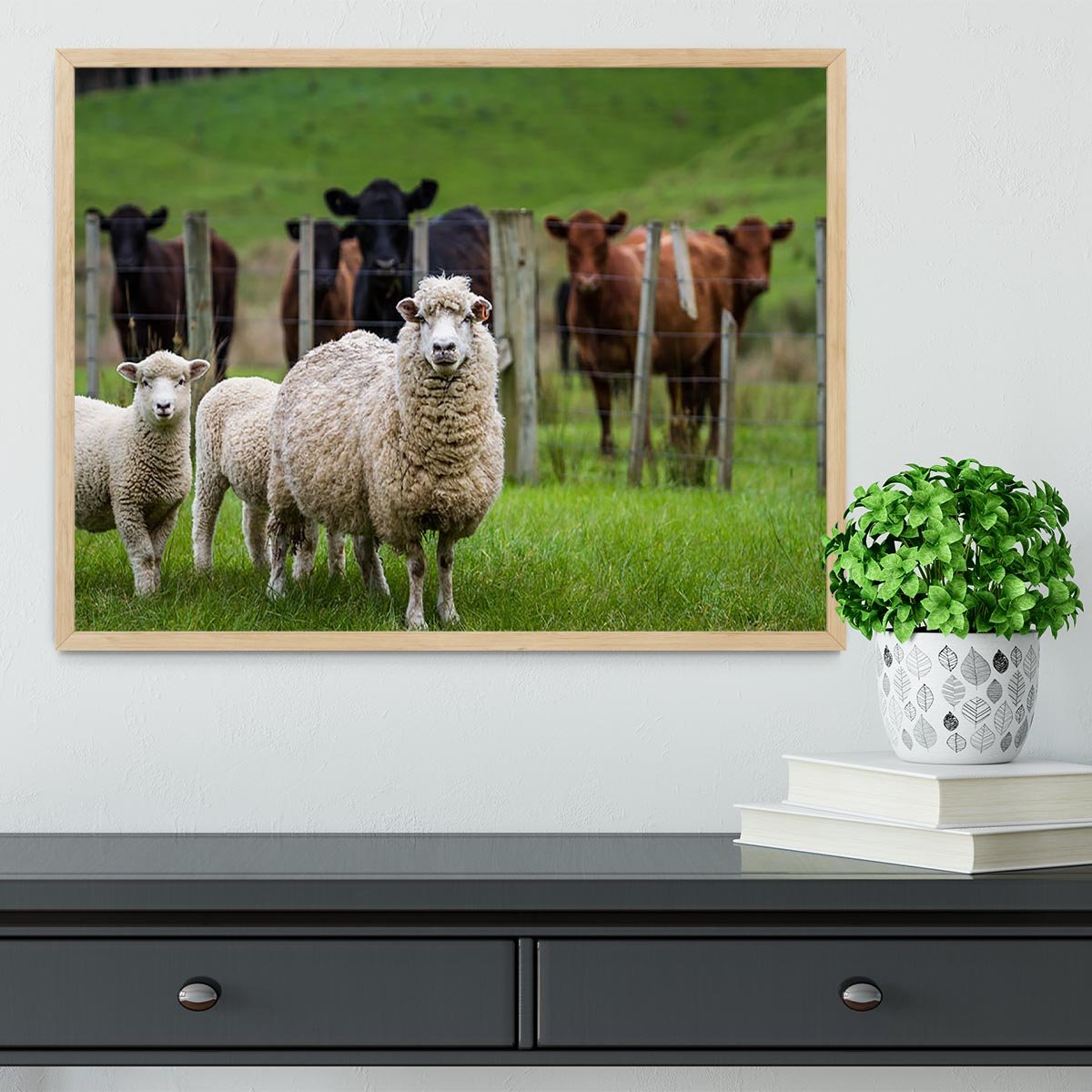 Sheep and cows Framed Print - Canvas Art Rocks - 4