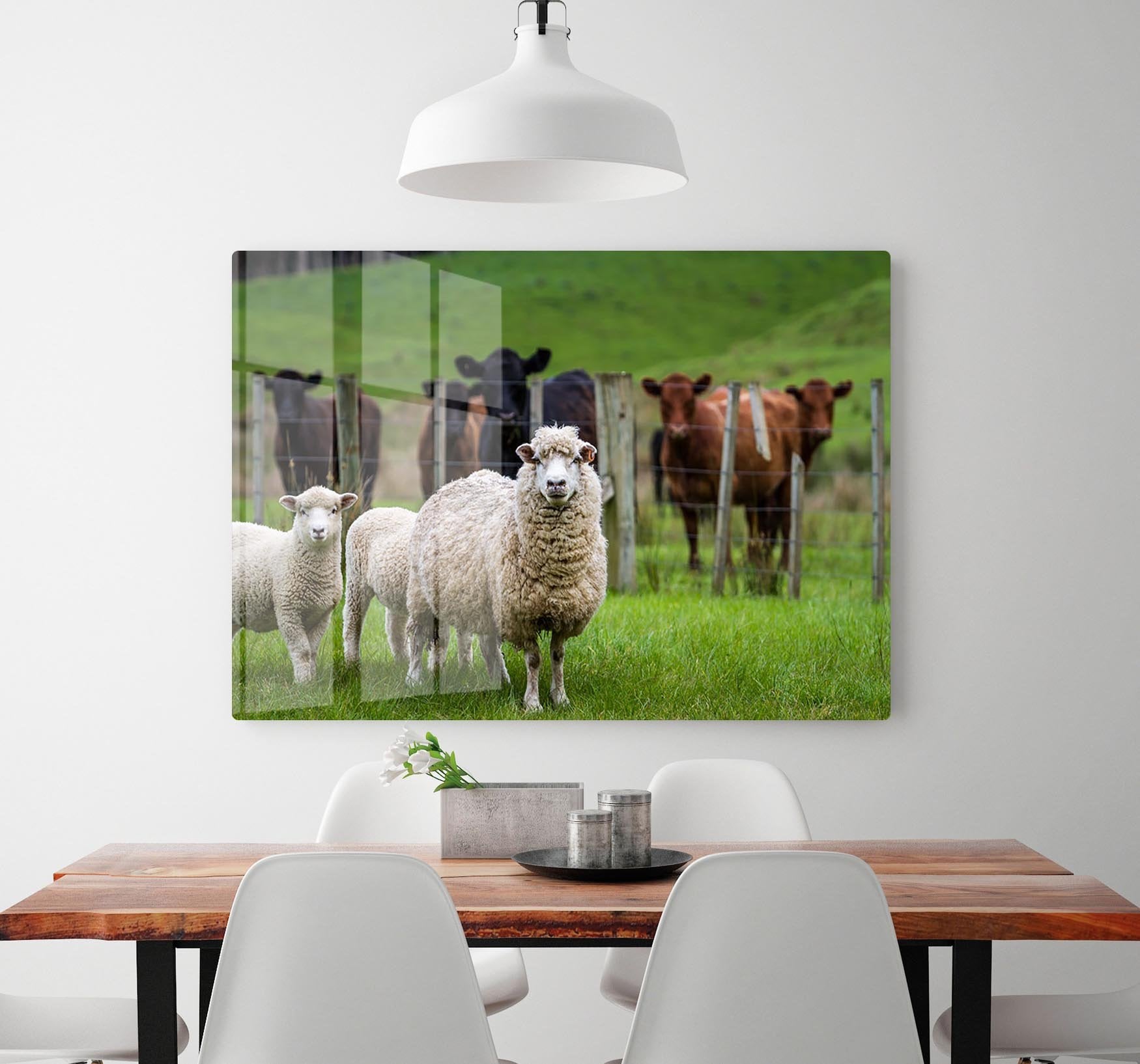 Sheep and cows HD Metal Print - Canvas Art Rocks - 2