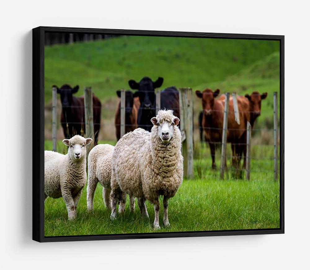 Sheep and cows HD Metal Print - Canvas Art Rocks - 6