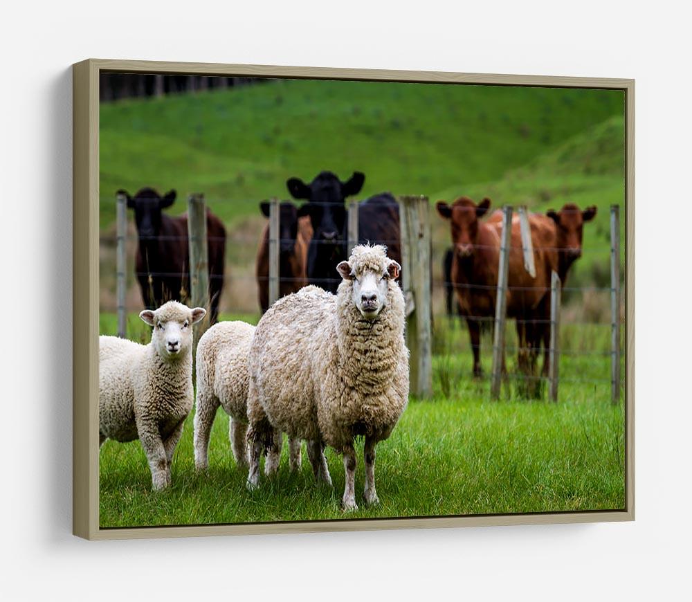 Sheep and cows HD Metal Print - Canvas Art Rocks - 8