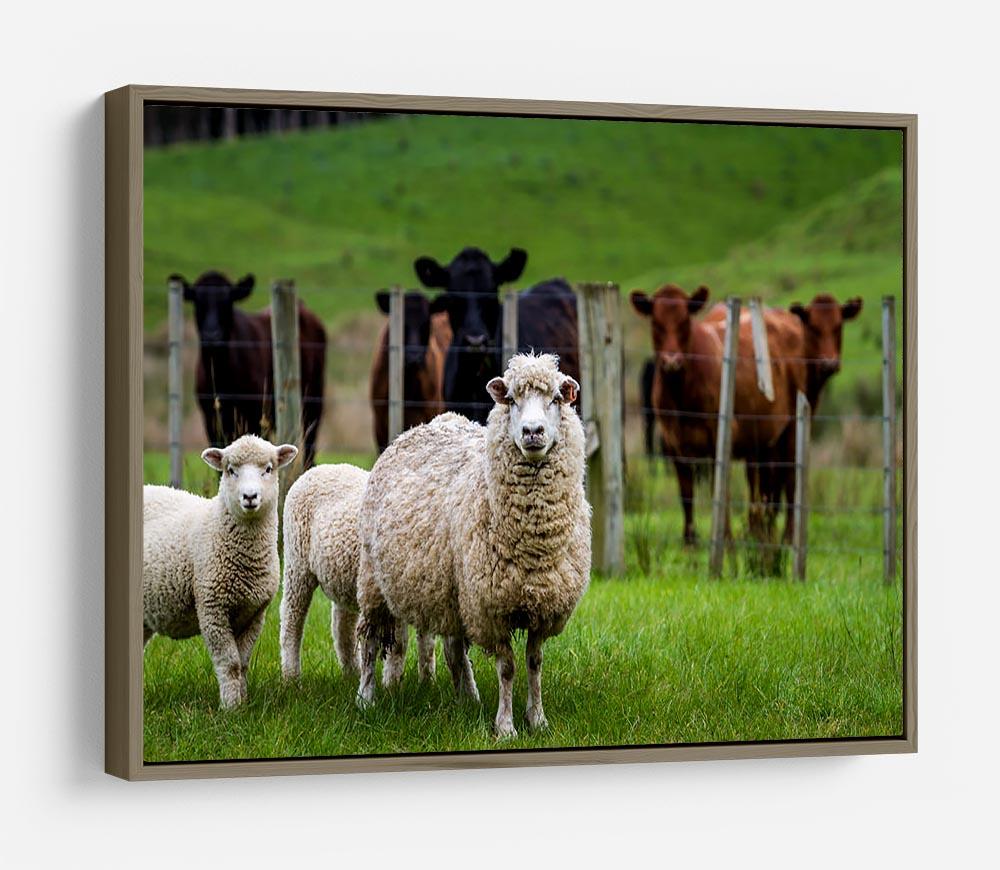 Sheep and cows HD Metal Print - Canvas Art Rocks - 10