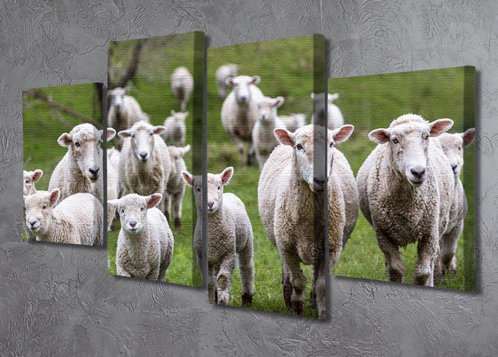 Sheep and lambs in paddock 4 Split Panel Canvas - Canvas Art Rocks - 2