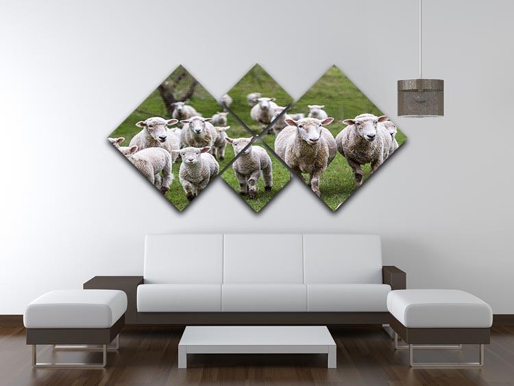 Sheep and lambs in paddock 4 Square Multi Panel Canvas - Canvas Art Rocks - 3