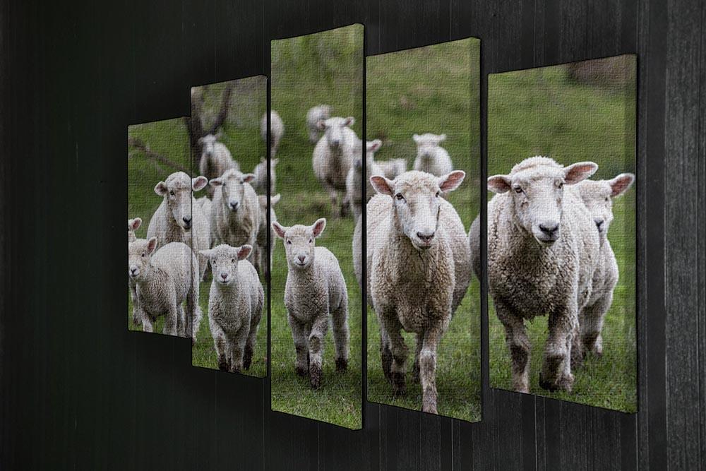 Sheep and lambs in paddock 5 Split Panel Canvas - Canvas Art Rocks - 2