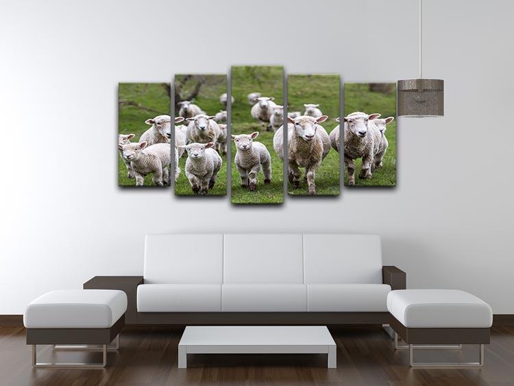 Sheep and lambs in paddock 5 Split Panel Canvas - Canvas Art Rocks - 3