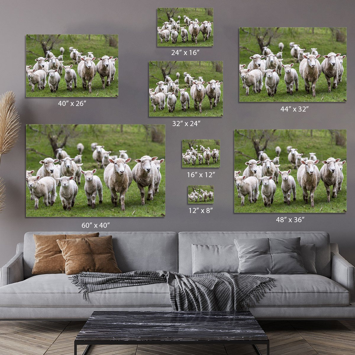 Sheep and lambs in paddock Canvas Print or Poster