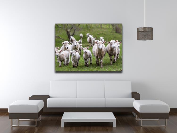 Sheep and lambs in paddock Canvas Print or Poster - Canvas Art Rocks - 4