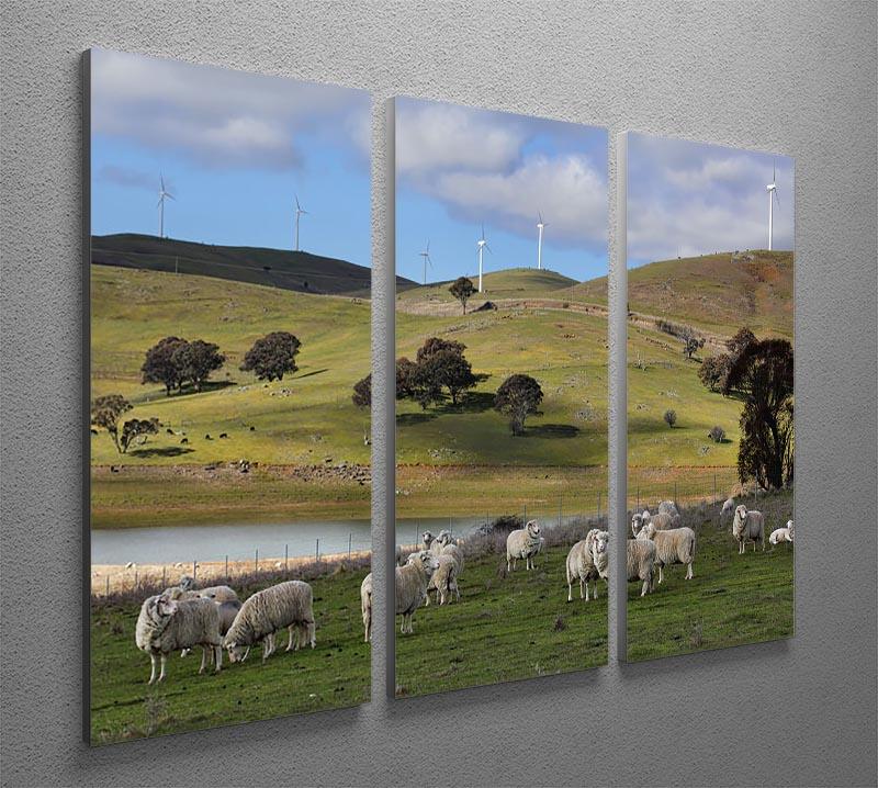 Sheep grazing below the Blayney to Carcoar windfarm 3 Split Panel Canvas Print - Canvas Art Rocks - 2