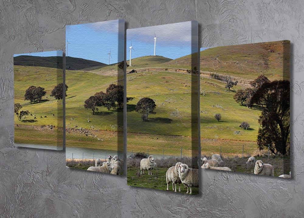 Sheep grazing below the Blayney to Carcoar windfarm 4 Split Panel Canvas - Canvas Art Rocks - 2