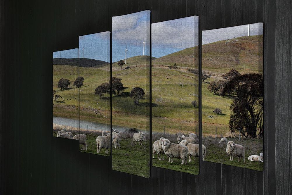 Sheep grazing below the Blayney to Carcoar windfarm 5 Split Panel Canvas - Canvas Art Rocks - 2