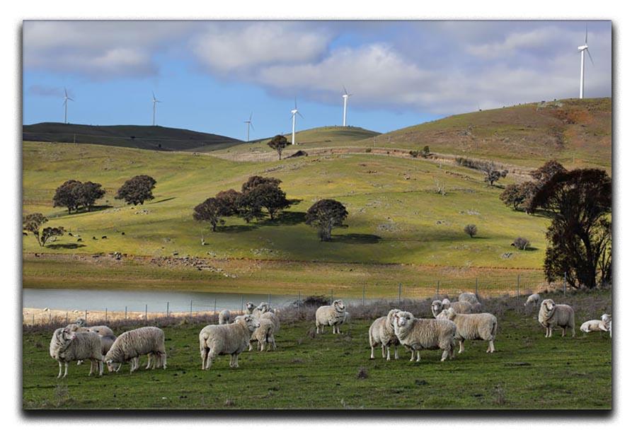 Sheep grazing below the Blayney to Carcoar windfarm Canvas Print or Poster - Canvas Art Rocks - 1
