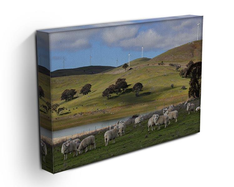 Sheep grazing below the Blayney to Carcoar windfarm Canvas Print or Poster - Canvas Art Rocks - 3