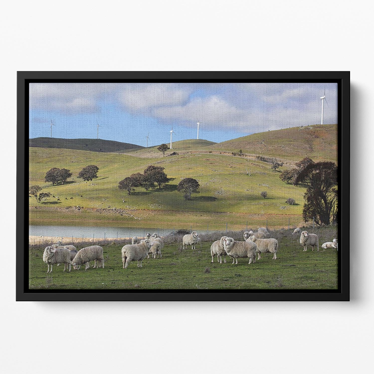 Sheep grazing below the Blayney to Carcoar windfarm Floating Framed Canvas - Canvas Art Rocks - 2