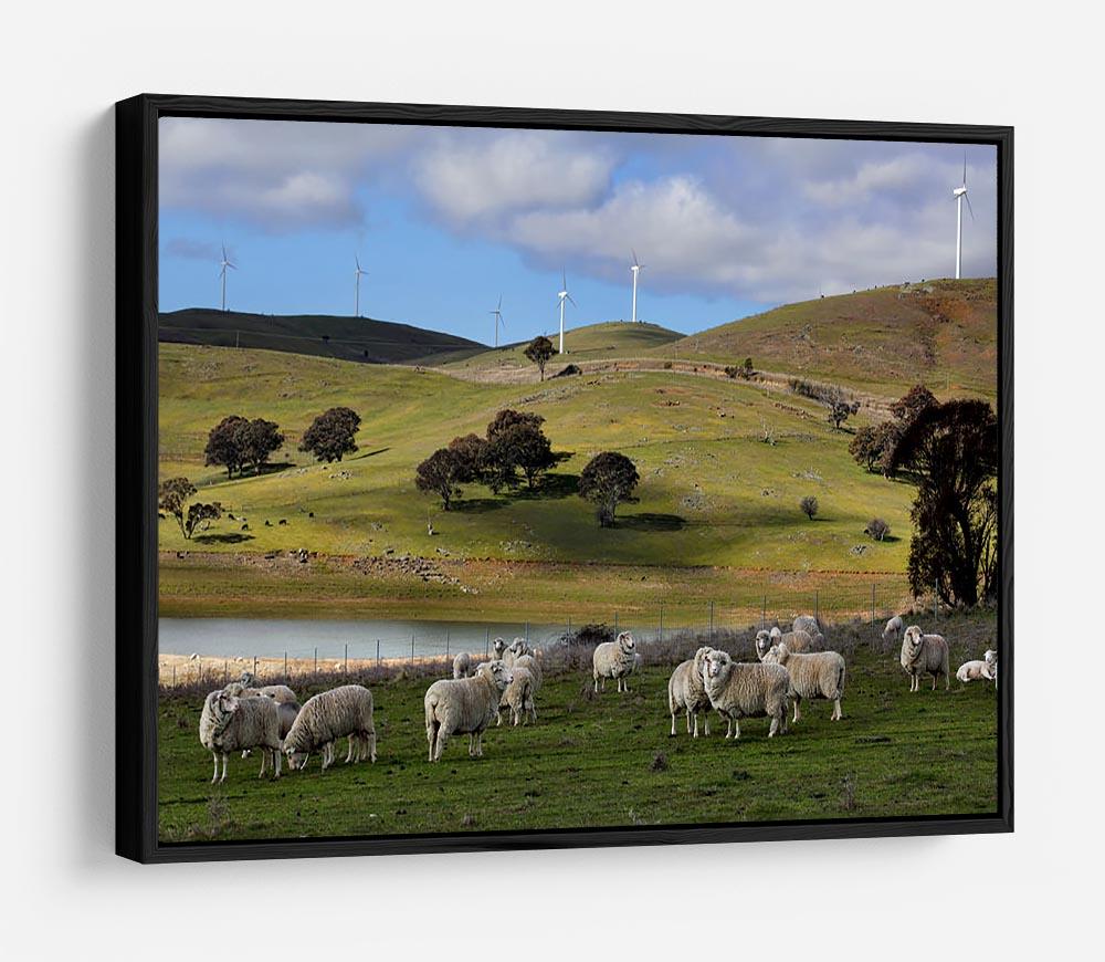 Sheep grazing below the Blayney to Carcoar windfarm HD Metal Print - Canvas Art Rocks - 6