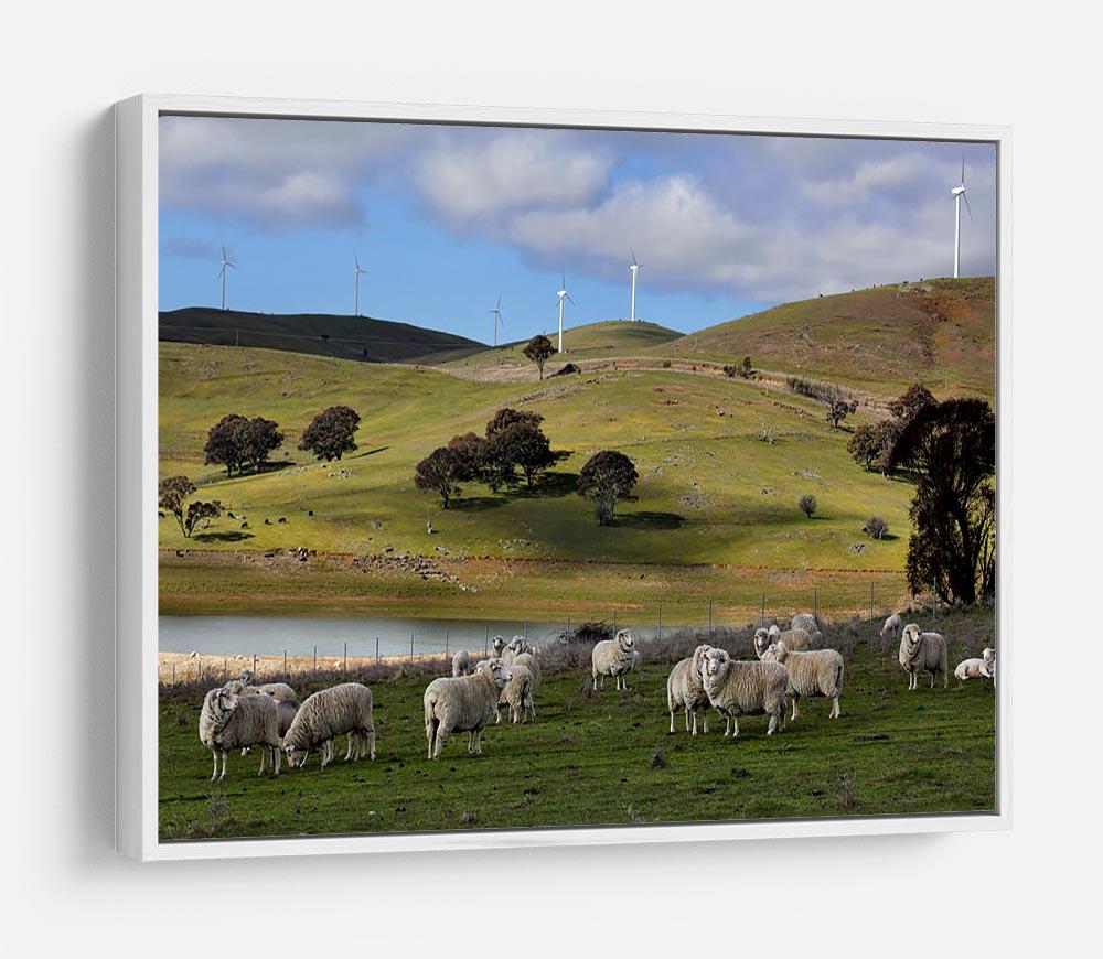 Sheep grazing below the Blayney to Carcoar windfarm HD Metal Print - Canvas Art Rocks - 7