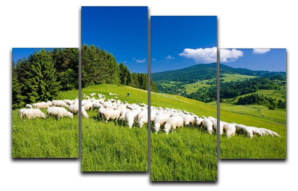 Sheep herds 4 Split Panel Canvas - Canvas Art Rocks - 1