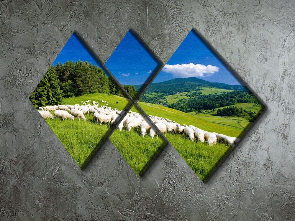Sheep herds 4 Square Multi Panel Canvas - Canvas Art Rocks - 2