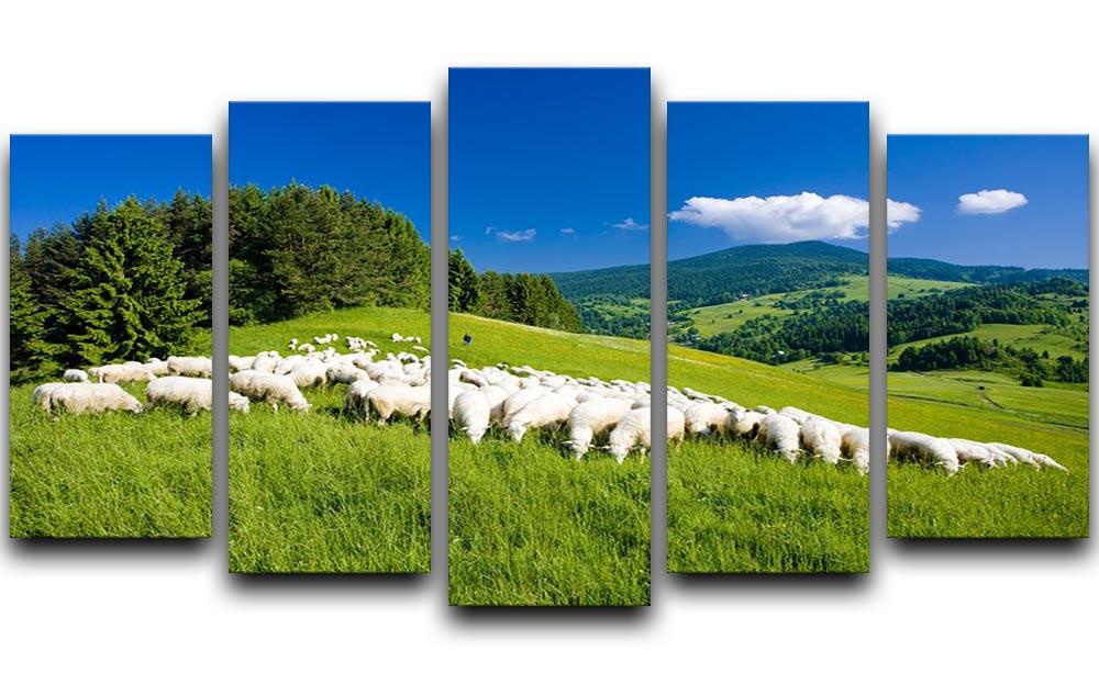 Sheep herds 5 Split Panel Canvas - Canvas Art Rocks - 1