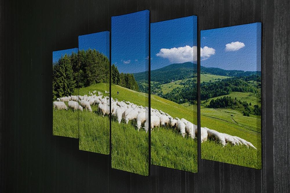 Sheep herds 5 Split Panel Canvas - Canvas Art Rocks - 2