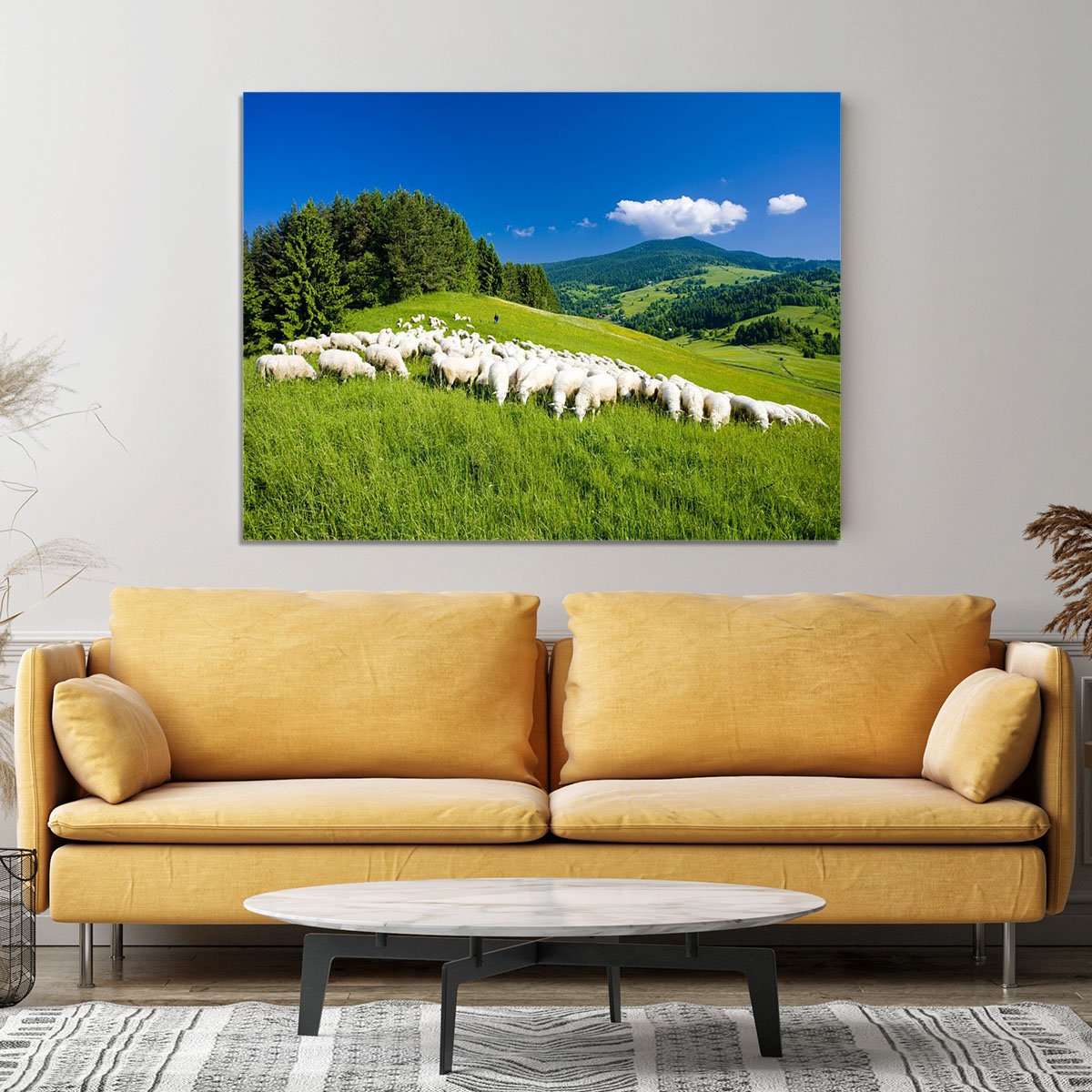 Sheep herds Canvas Print or Poster
