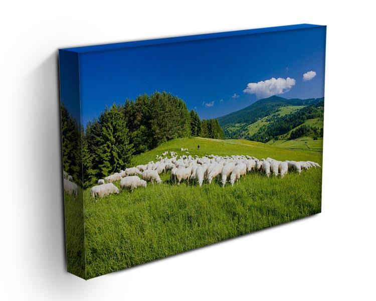 Sheep herds Canvas Print or Poster - Canvas Art Rocks - 3
