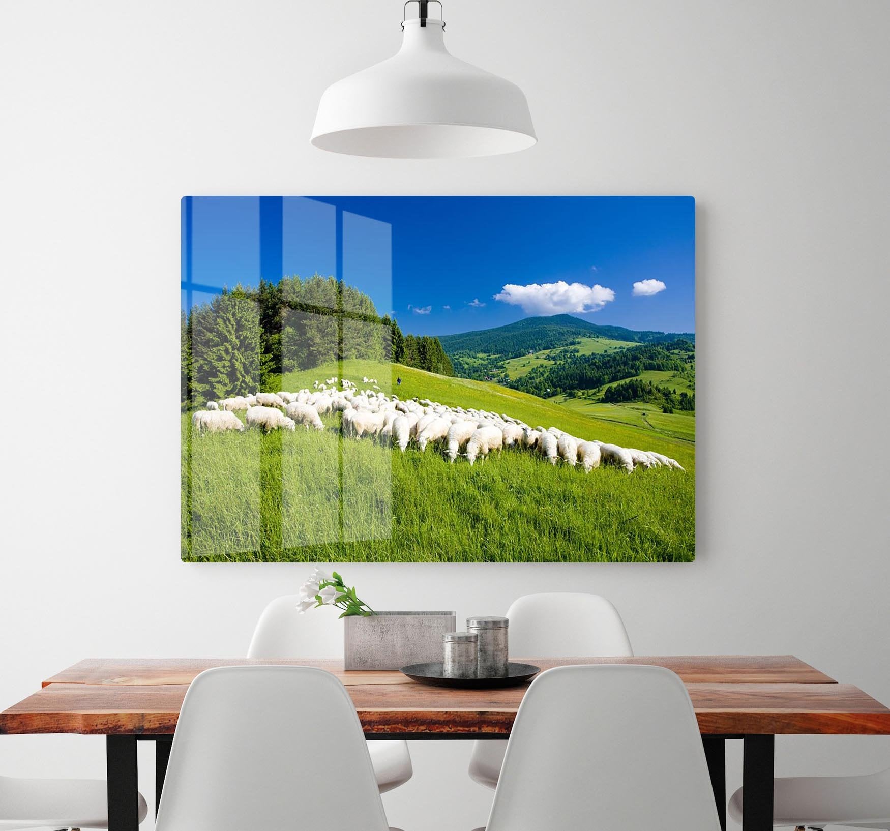 Sheep herds HD Metal Print - Canvas Art Rocks - 2