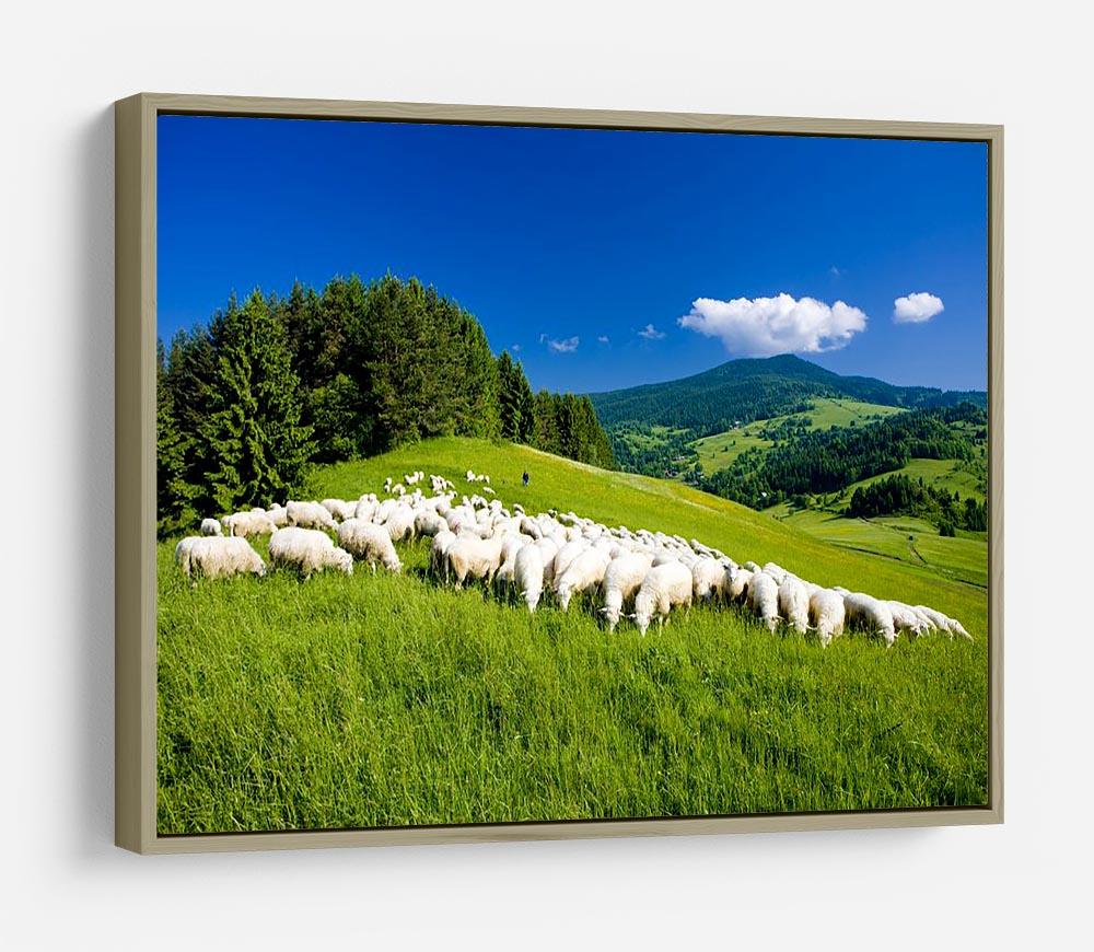 Sheep herds HD Metal Print - Canvas Art Rocks - 8