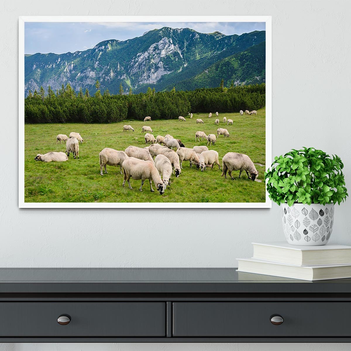 Sheep herds at alpine pastures Framed Print - Canvas Art Rocks -6