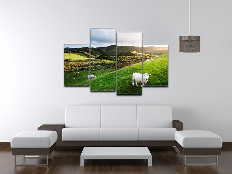 Sheep in farm in New Zealand 4 Split Panel Canvas - Canvas Art Rocks - 3