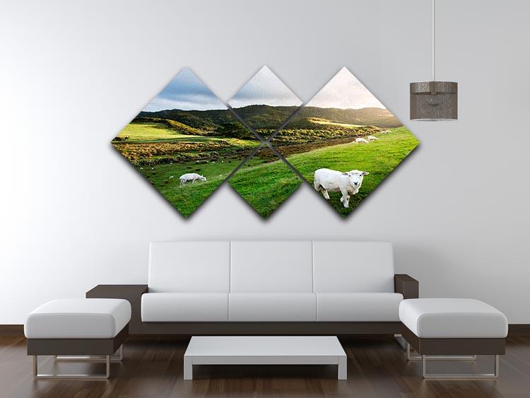 Sheep in farm in New Zealand 4 Square Multi Panel Canvas - Canvas Art Rocks - 3