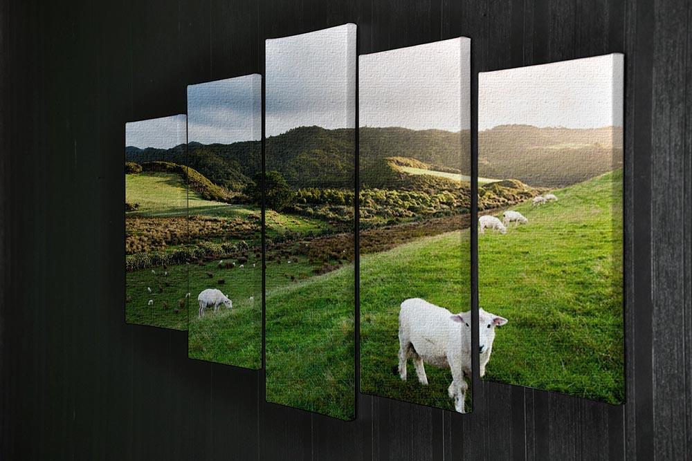 Sheep in farm in New Zealand 5 Split Panel Canvas - Canvas Art Rocks - 2