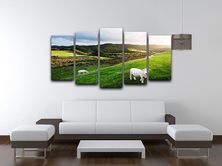 Sheep in farm in New Zealand 5 Split Panel Canvas - Canvas Art Rocks - 3