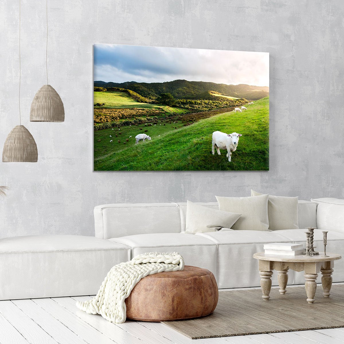 Sheep in farm in New Zealand Canvas Print or Poster