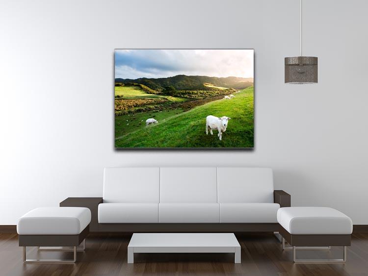 Sheep in farm in New Zealand Canvas Print or Poster - Canvas Art Rocks - 4