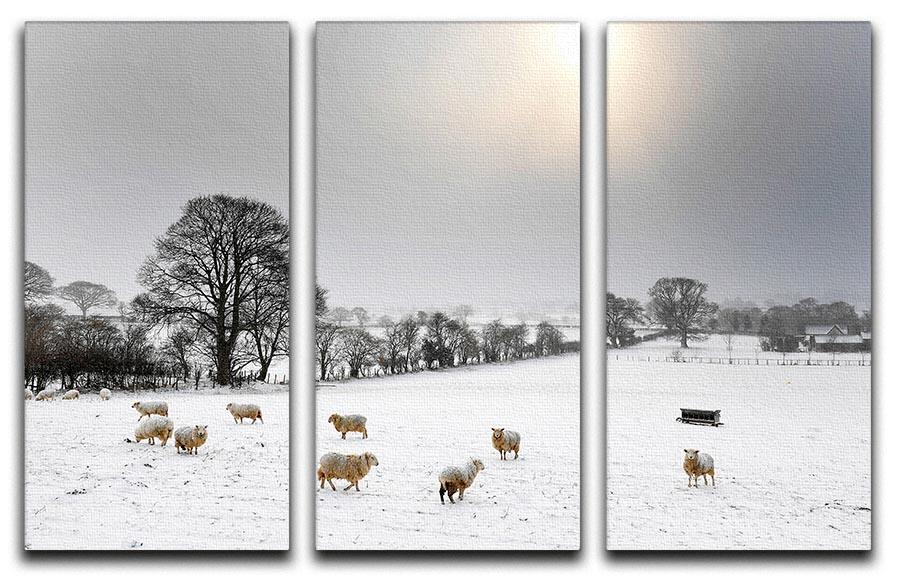 Sheep in the snow 3 Split Panel Canvas Print - Canvas Art Rocks - 1