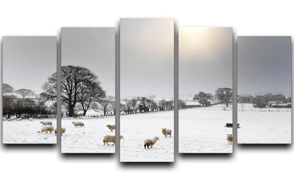 Sheep in the snow 5 Split Panel Canvas - Canvas Art Rocks - 1