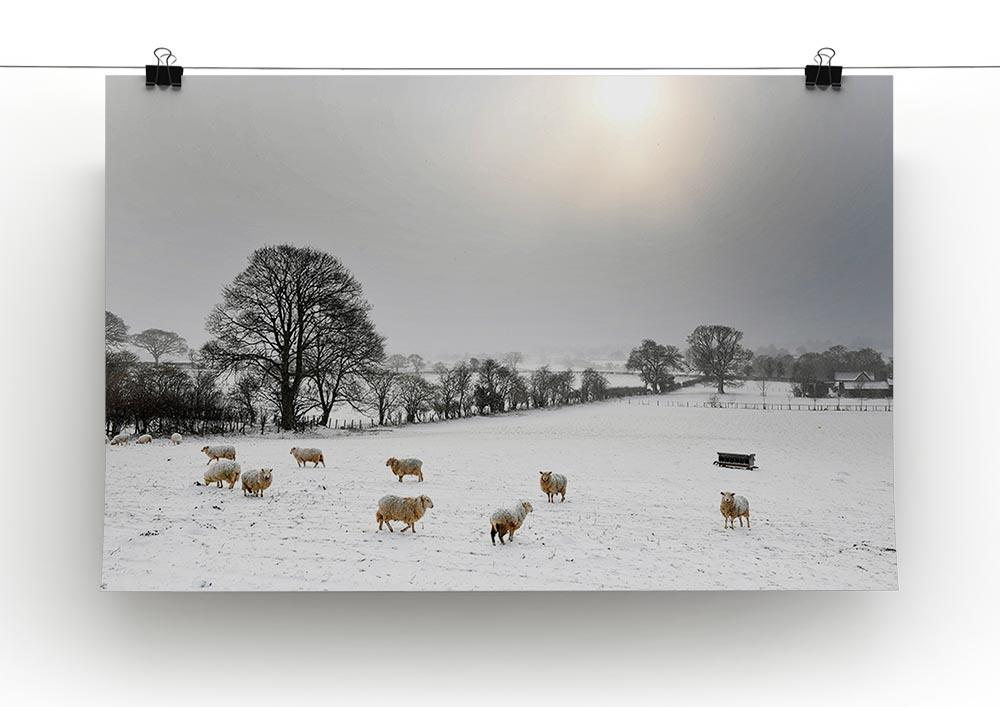 Sheep in the snow Canvas Print or Poster - Canvas Art Rocks - 2
