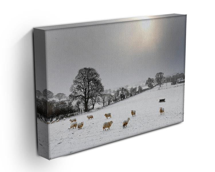 Sheep in the snow Canvas Print or Poster - Canvas Art Rocks - 3