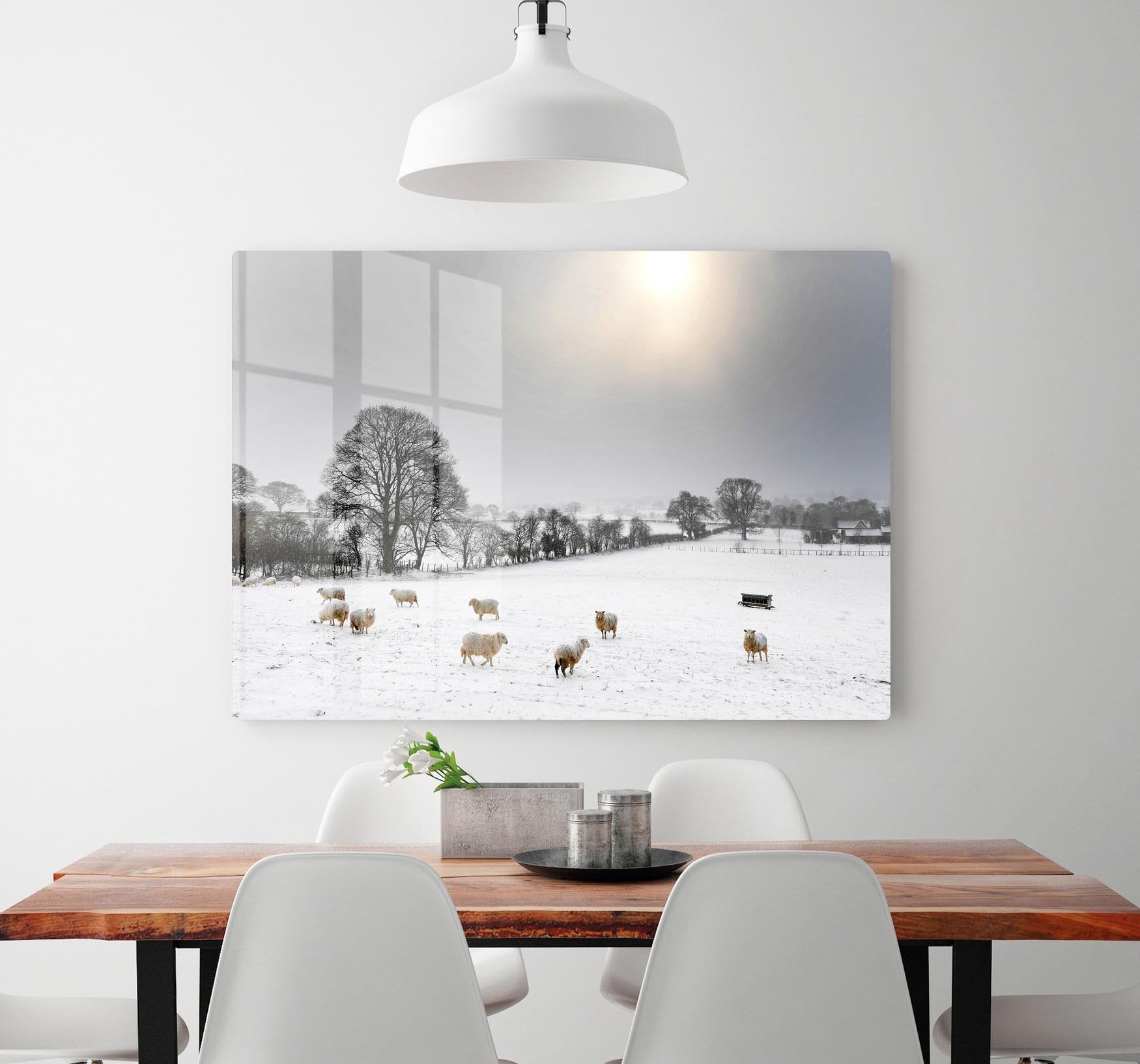 Sheep in the snow HD Metal Print - Canvas Art Rocks - 2