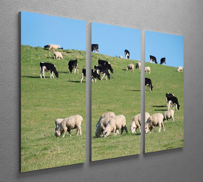 Sheeps in green rural meadow with cows 3 Split Panel Canvas Print - Canvas Art Rocks - 2