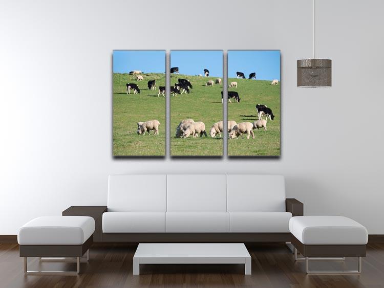 Sheeps in green rural meadow with cows 3 Split Panel Canvas Print - Canvas Art Rocks - 3
